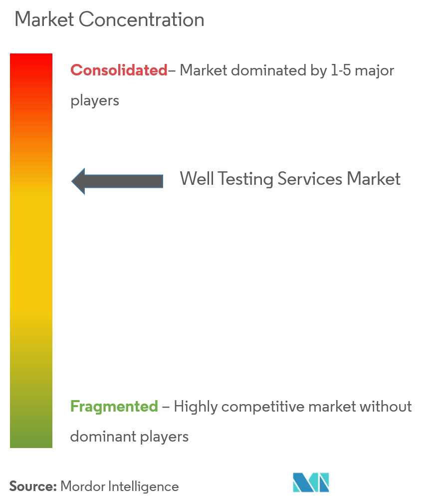 Well Testing Services Market Concentration